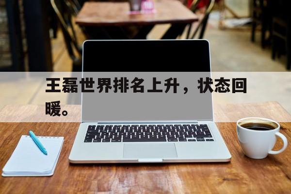 王磊世界排名上升，状态回暖。