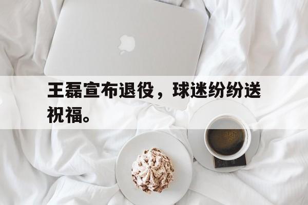 爱游戏ayx官网平台-王磊宣布退役，球迷纷纷送祝福。