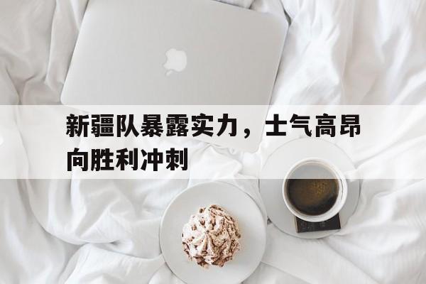 爱游戏平台首页-新疆队暴露实力，士气高昂向胜利冲刺