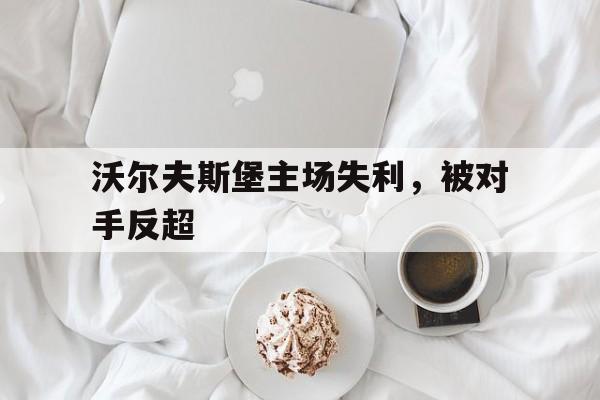 爱游戏ayx官网平台-沃尔夫斯堡主场失利，被对手反超